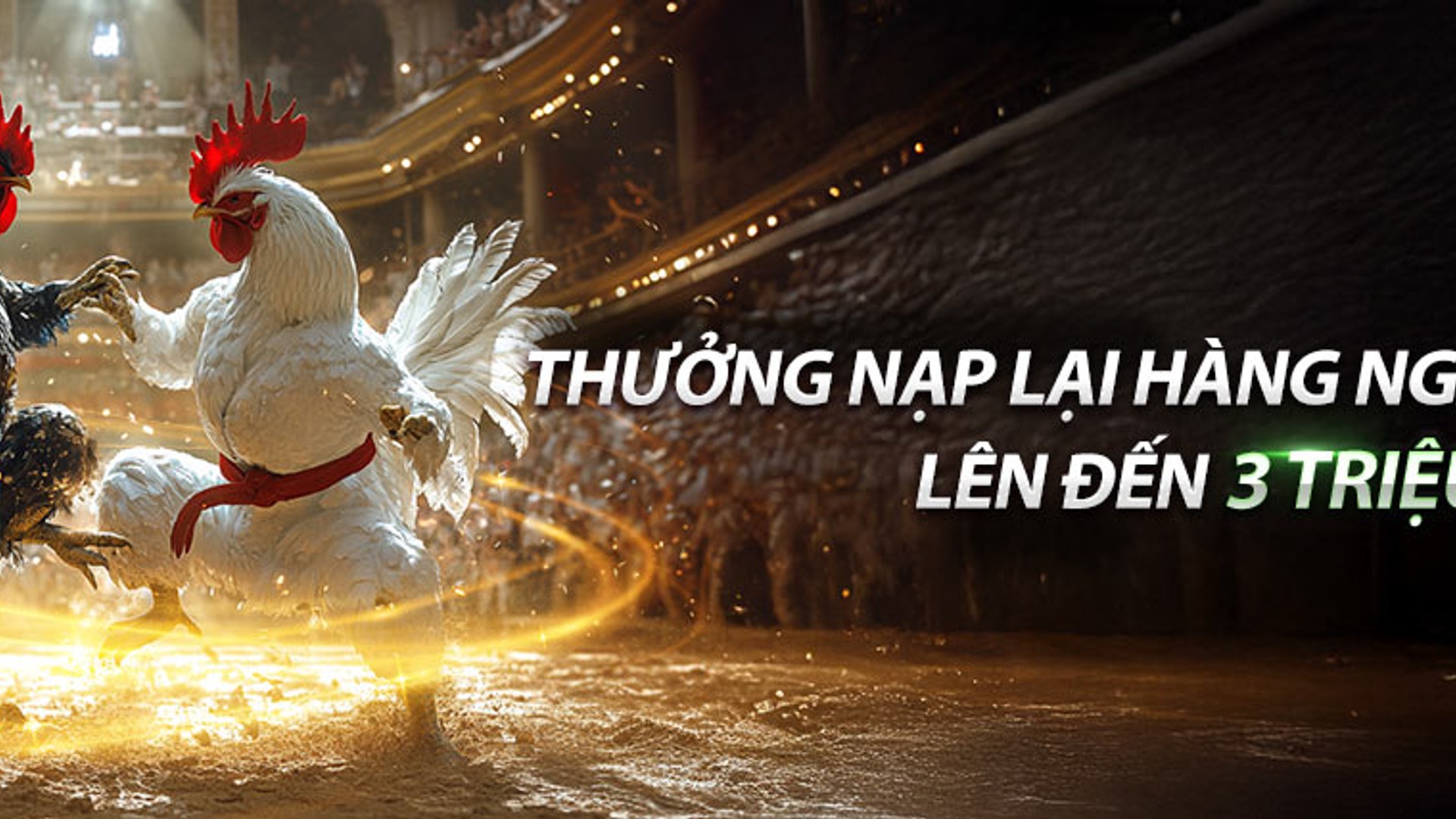 Hình ảnh tổng quan các trò chơi nổi bật tại 888to